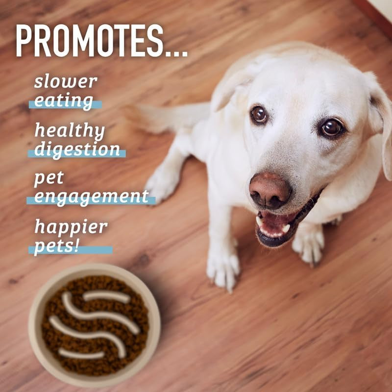 Slow Feeder Dog Bowl (2 Cup) - Puzzle Dog Food Bowl with Feeder Holes, Fits Elevated Pet Feeders, Slow Eating for Large, Medium & Small Sized Breeds - Blue